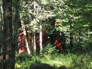 Random mysterious cottage in the woods ...