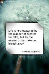 944679_10200613095823365_968750882_n