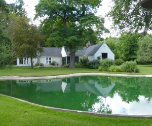 Fool's Paradise - a perfect reflection.