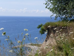 The view from up here on top of the Bluffs