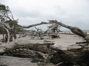 Jekyll Island