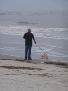 Most people here have a dog; some (lucky) people have a pig.